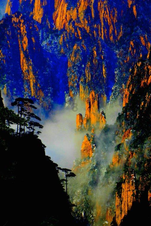 虫虫助手下载